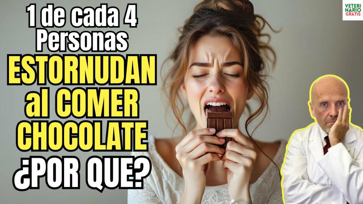 Porque el 25% de la población estornuda al comer chocolate