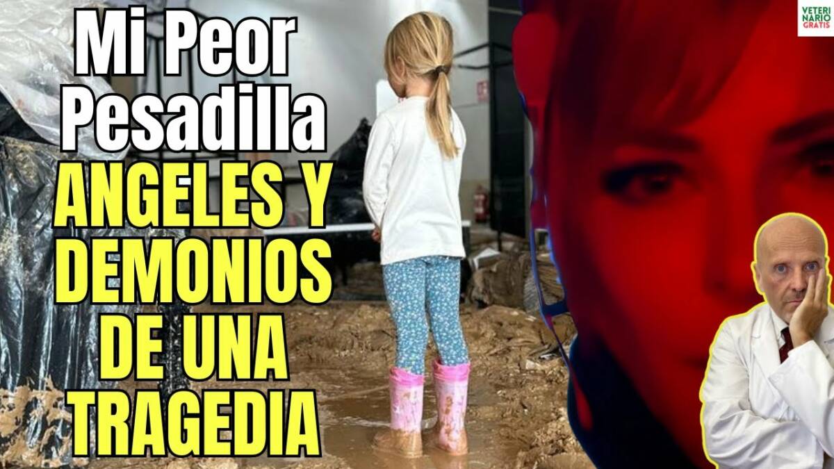 Mi peor pesadilla angeles y demonios de la tragedia de valencia 2024