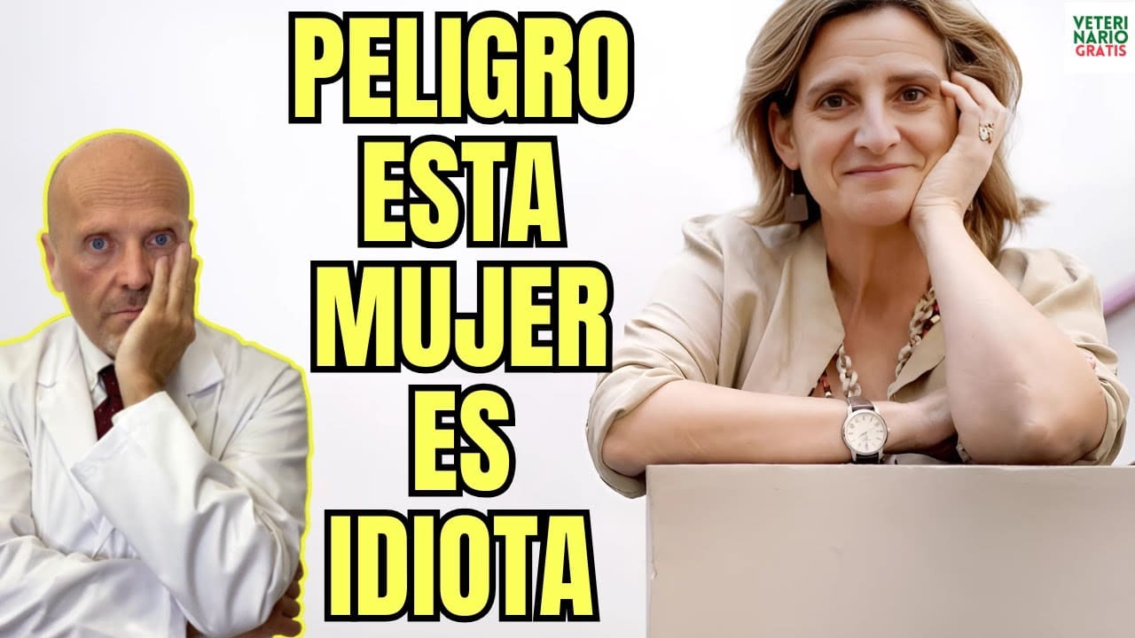 Agua embotellada o hervida la estupida polemica de la ministra rivera tras la dana en valencia