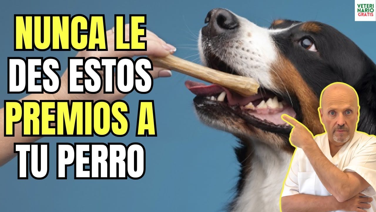 Premios para perros peligrosos y hasta letales