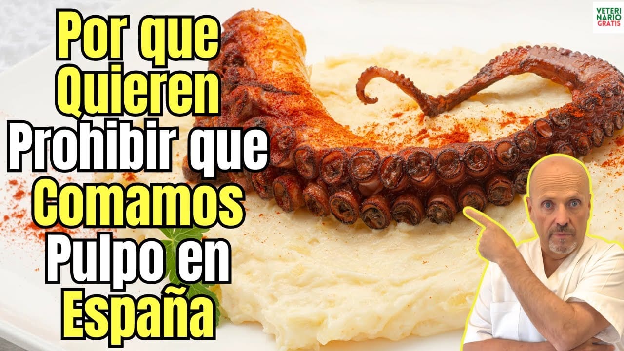 Por que quieren prohibir que comamos pulpo en España y en toda Europa