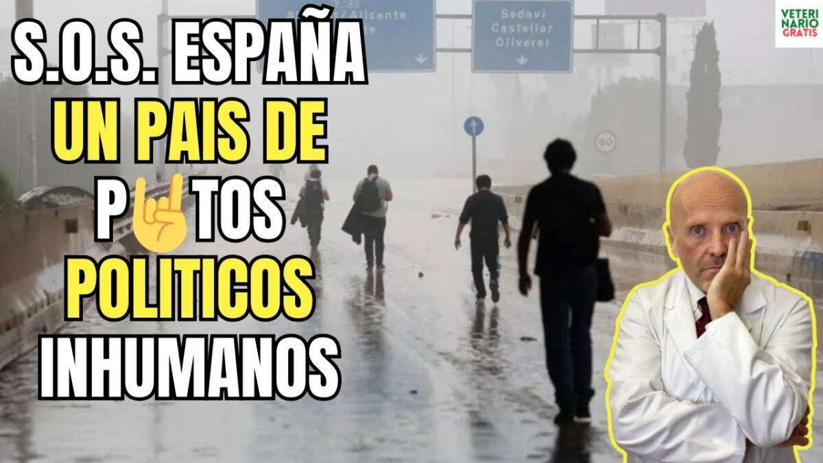 Sos España un país ahogado por sus p-tos politicos