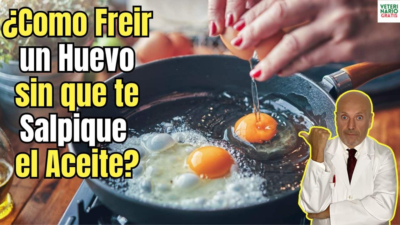 Como freir un huevo sin que te salpique el aceite