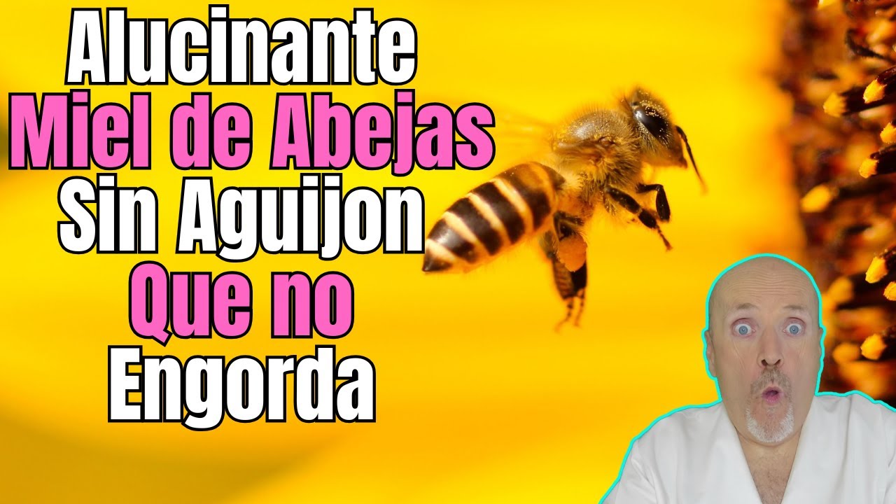 Alucinante miel de abejas sin aguijón que apenas engorda