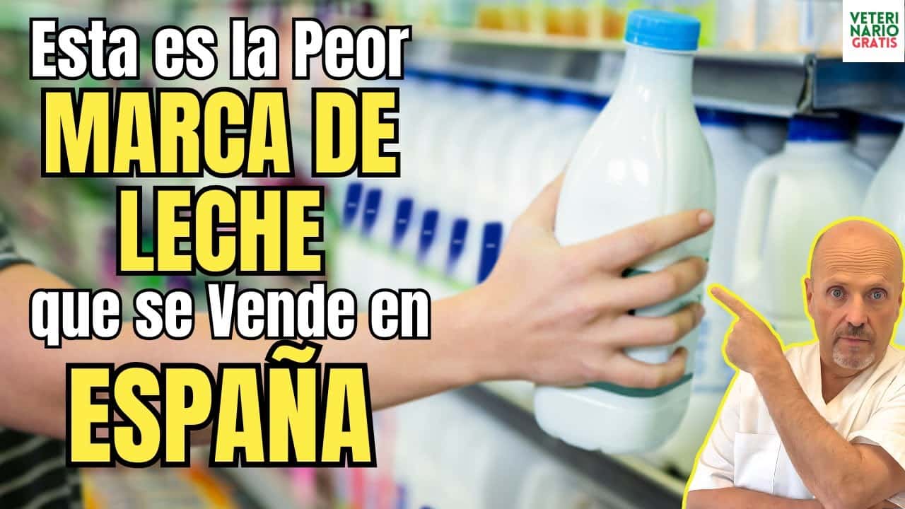 Esta es la peor marca de leche que se vende en los supermercados de espana