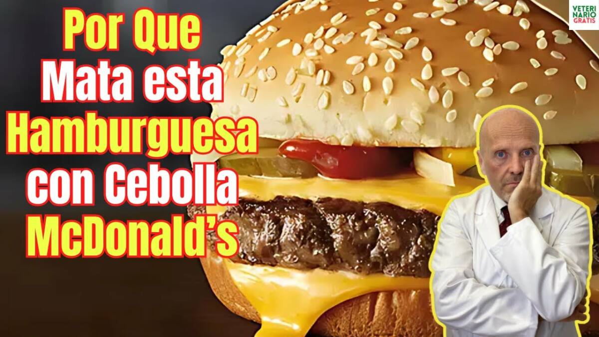 Alerta intoxicación alimentaria masiva en hamburguesas mcdonalds 2024