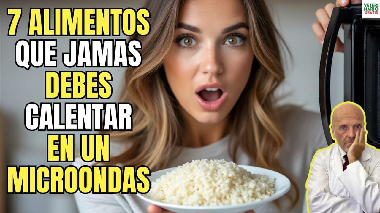 7 alimentos que jamas deberias calentar en un microondas