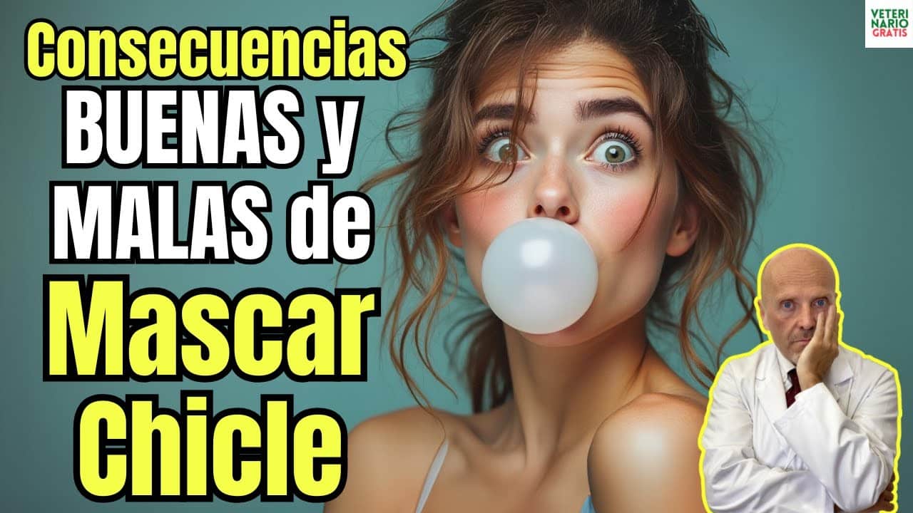 Consecuencias de mascar chicle es bueno o es malo