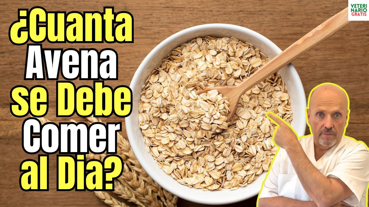 Cuanta avena se debe comer al día sin engordar