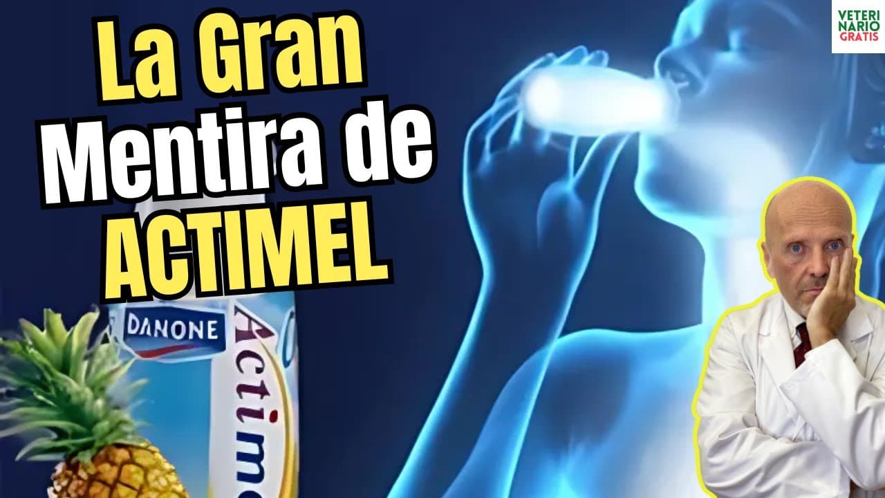 La gran mentira de actimel y sus beneficios como probiotico