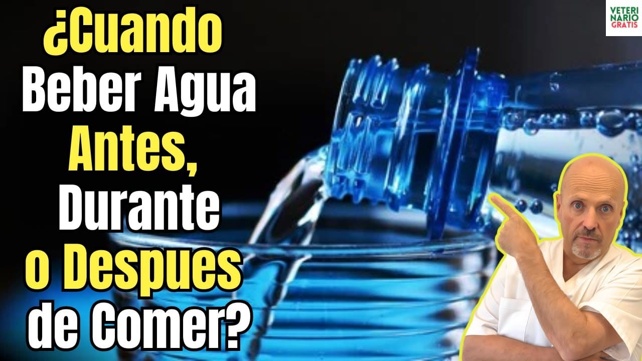 Cuando beber agua antes o despues de comer o con las comidas