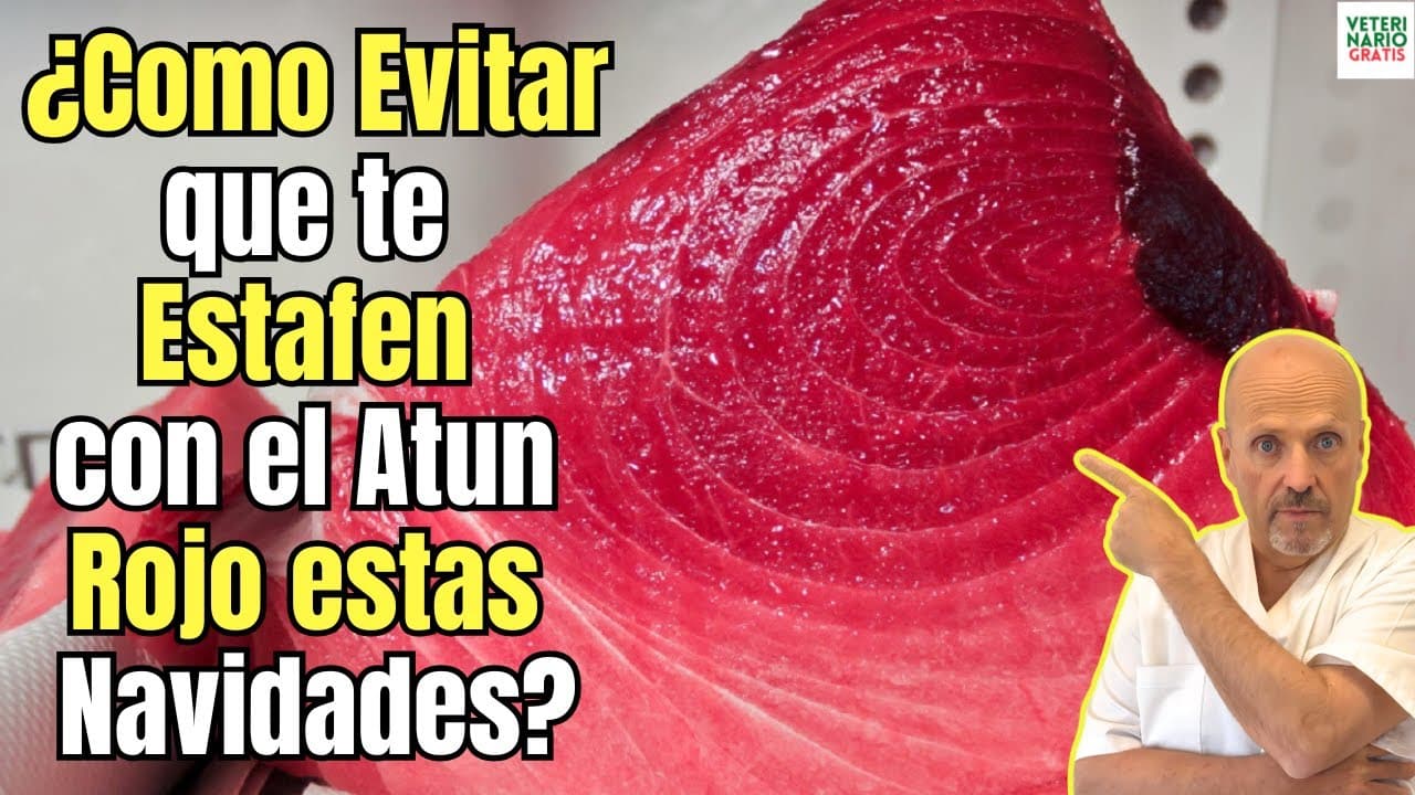 Como evitar que te enganen con el atun rojo estas navidades