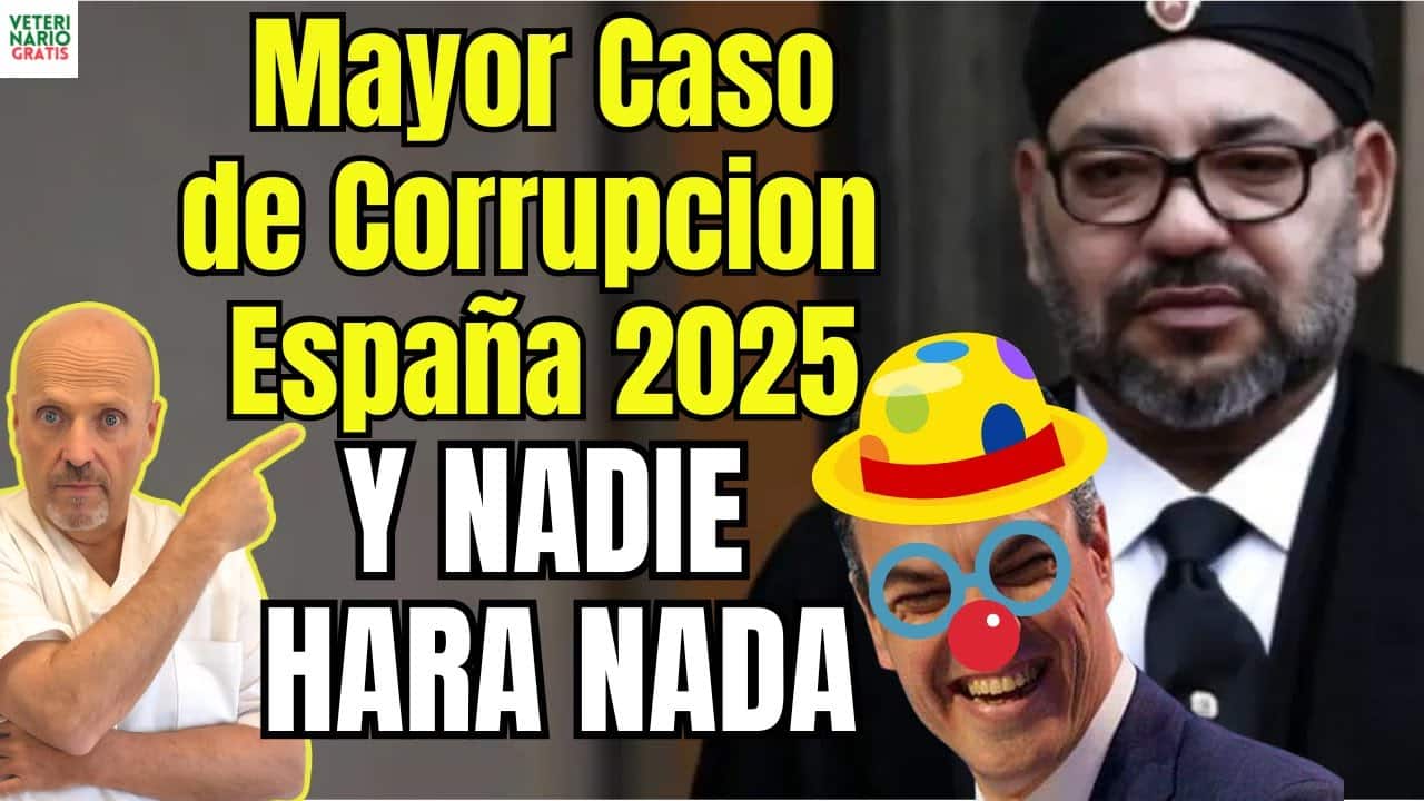 Este sera el mayor caso de corrupcion en espana en 20242025 destrozara tu salud y tu economia