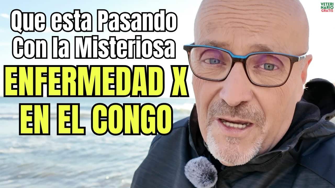 Que esta pasando con la misteriosa enfermedad x del congo y la oms