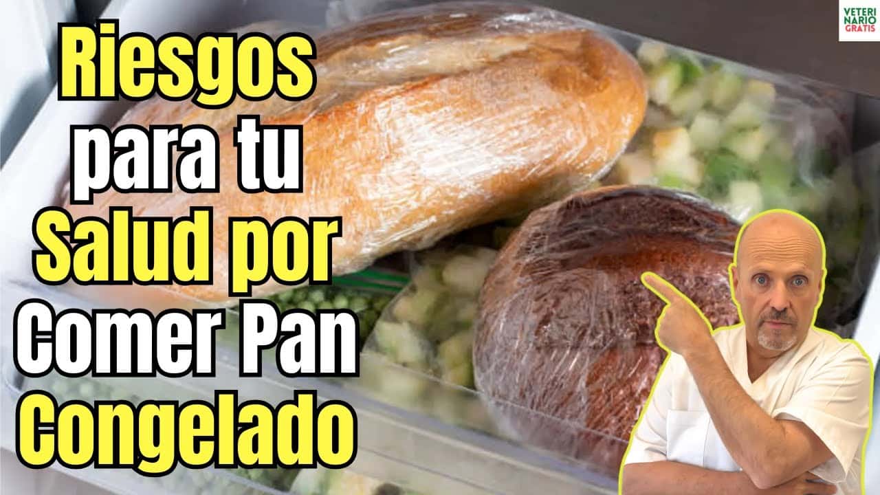 Riesgos para tu salud por comer pan congelado