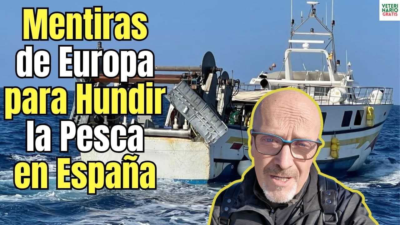 Las mentiras de la UE para acabar con la pesca en España