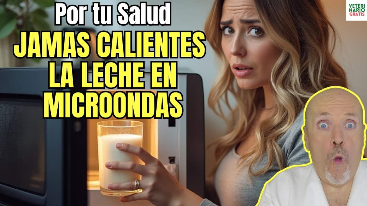 Por tu salud jamas debes calentar la leche en el microondas