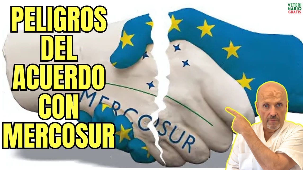 Peligros del acuerdo de libre comercio mercosur union europea para tu salud