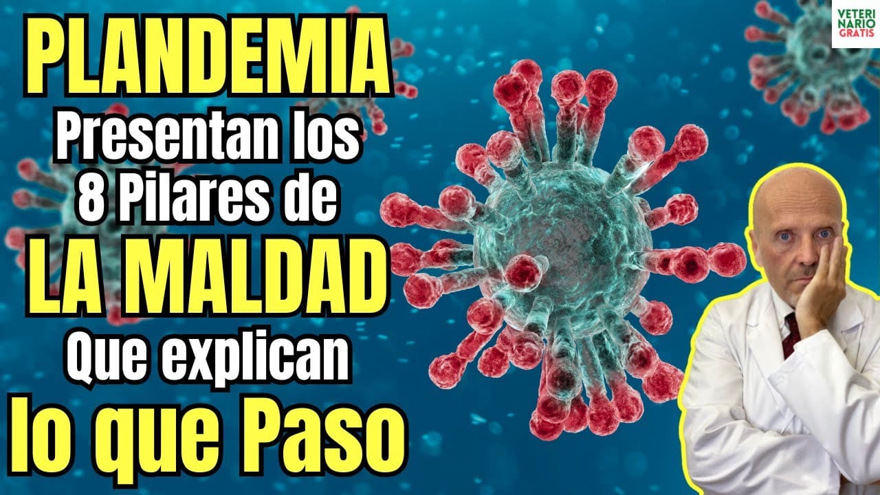 Plandemia coronavirus presentan los 8 pilares de la maldad que explican lo que paso de verdad