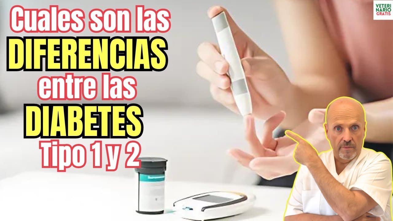 Cuales son las diferencias entre diabetes tipo 1 y 2