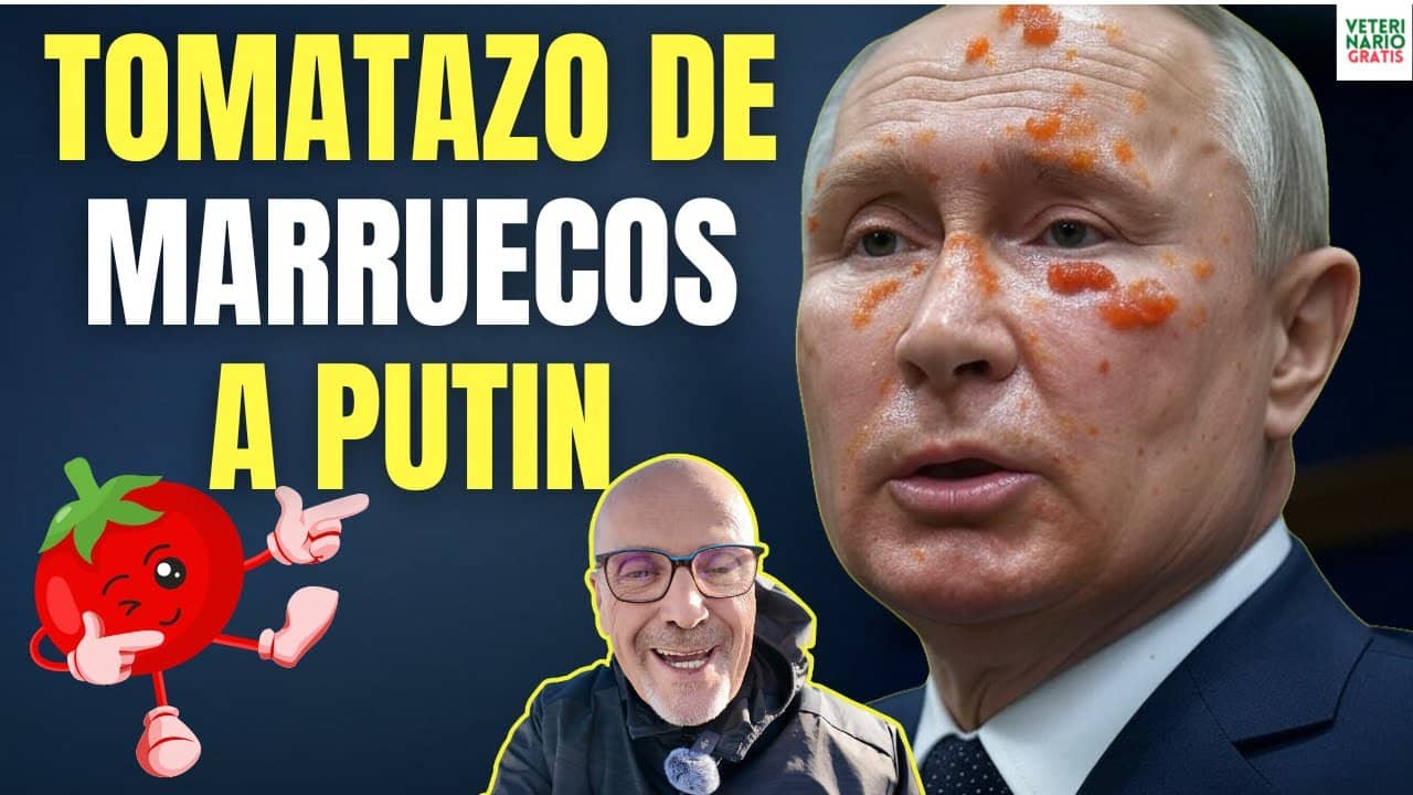 Tomatazo de marruecos a la rusia de putin con peligrosos tomates infectados