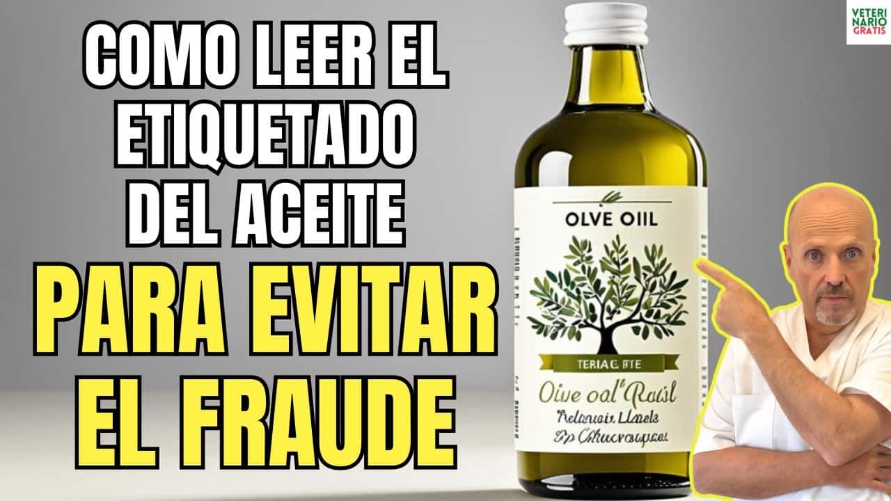 Como leer el etiquetado del aceite de oliva para evitar el fraude