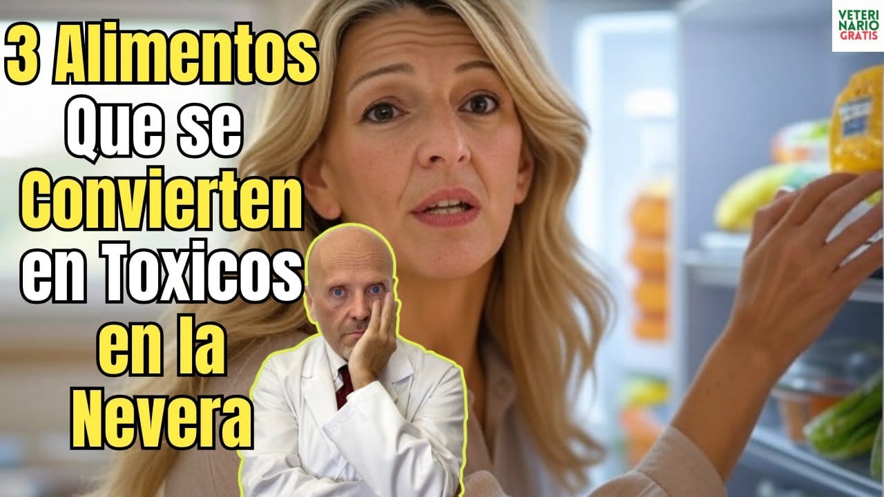 Tres alimentos que se vuelven tóxicos si se guardan en la nevera