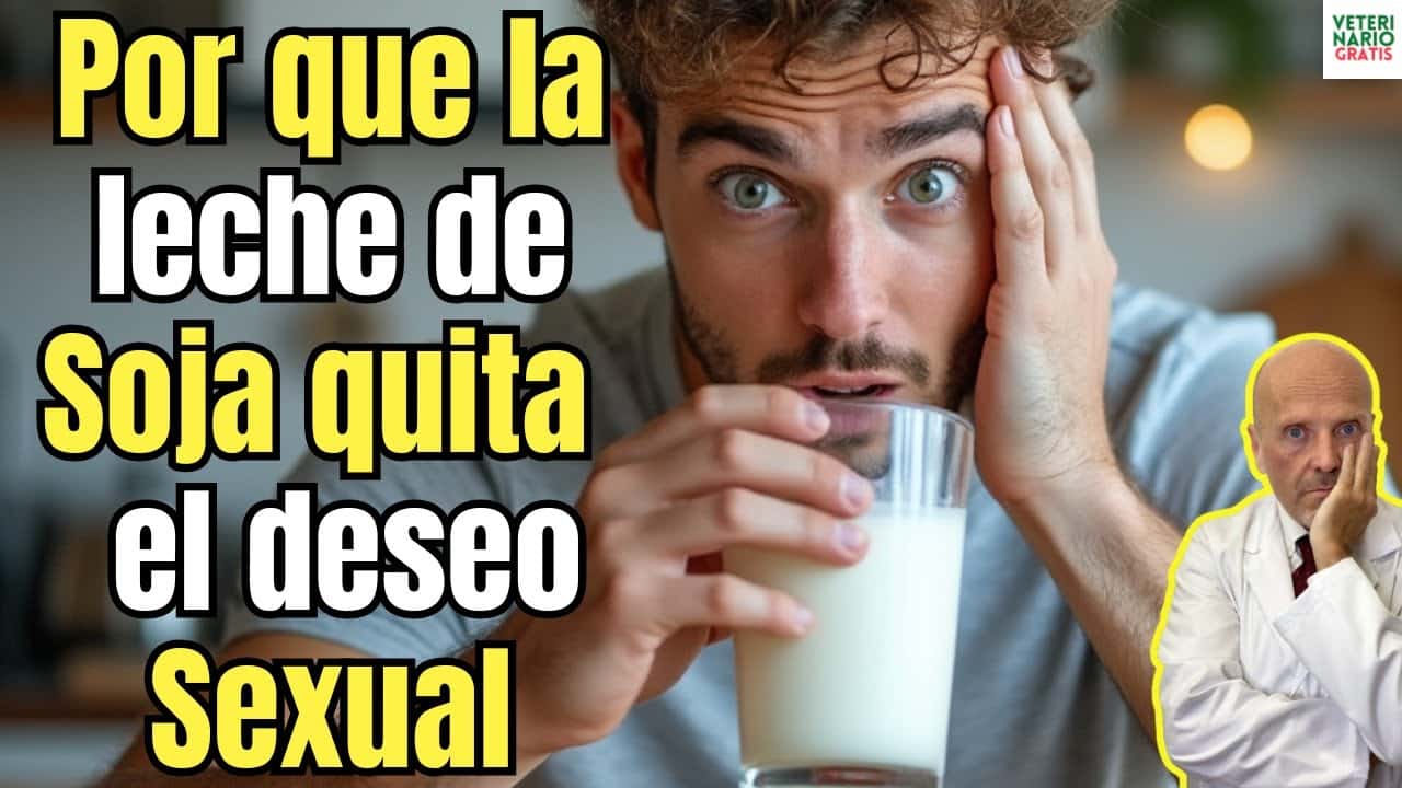 De verdad la leche de soja produce impotencia en el hombre