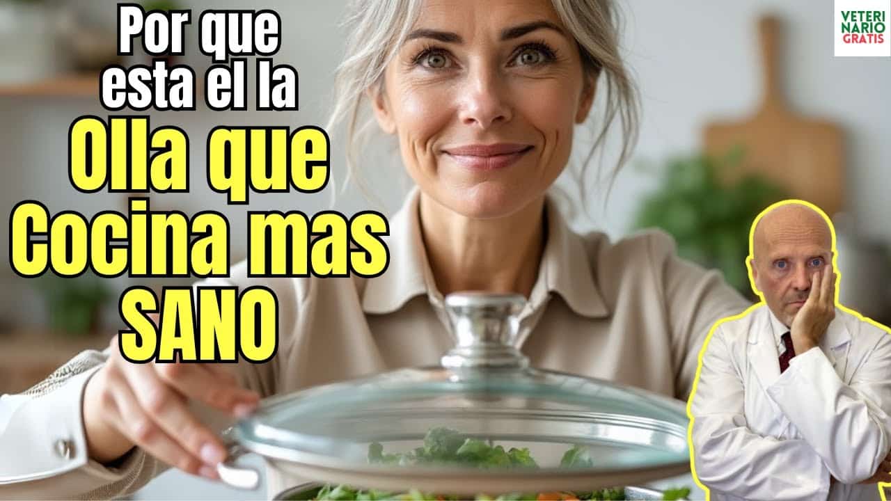 Por que estas son las mejores ollas para cocinar sano