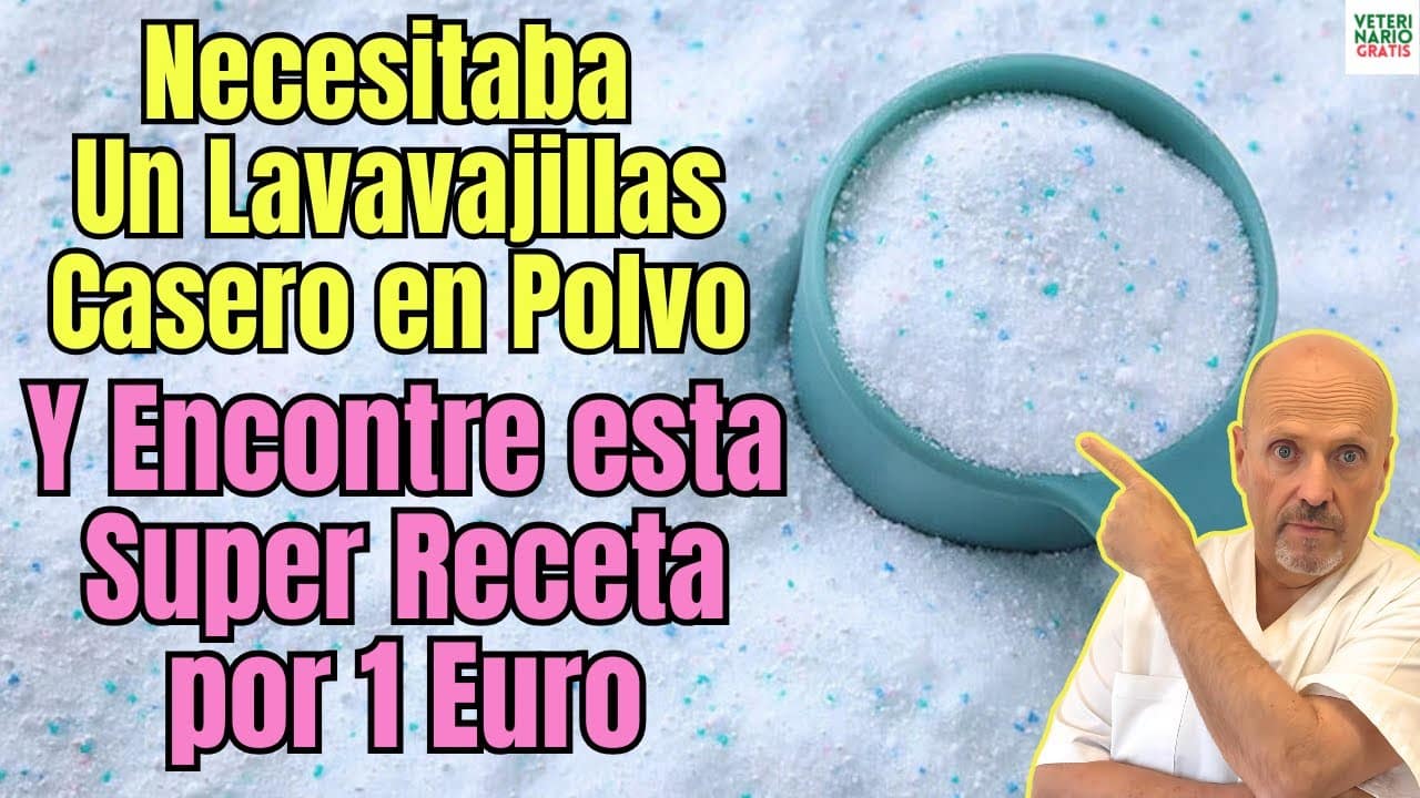 Necesitaba saber como hacer un lavavajillas casero en polvo de 3 ingredientes y menos de 1 euro