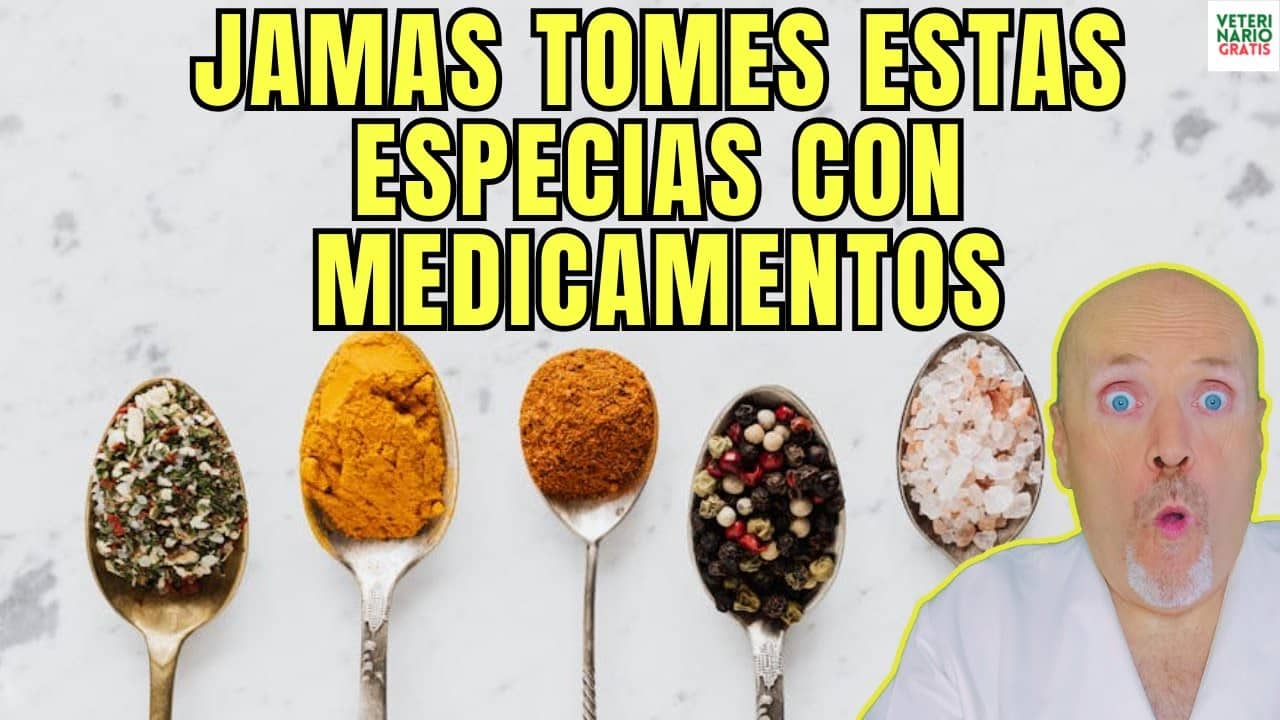 Nunca tomes estas especias si a la vez tomas estos medicamentos