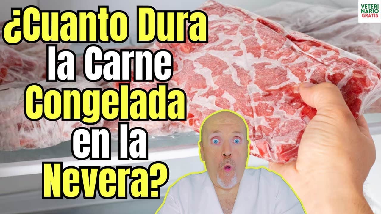 Cuanto dura la carne congelada en la nevera