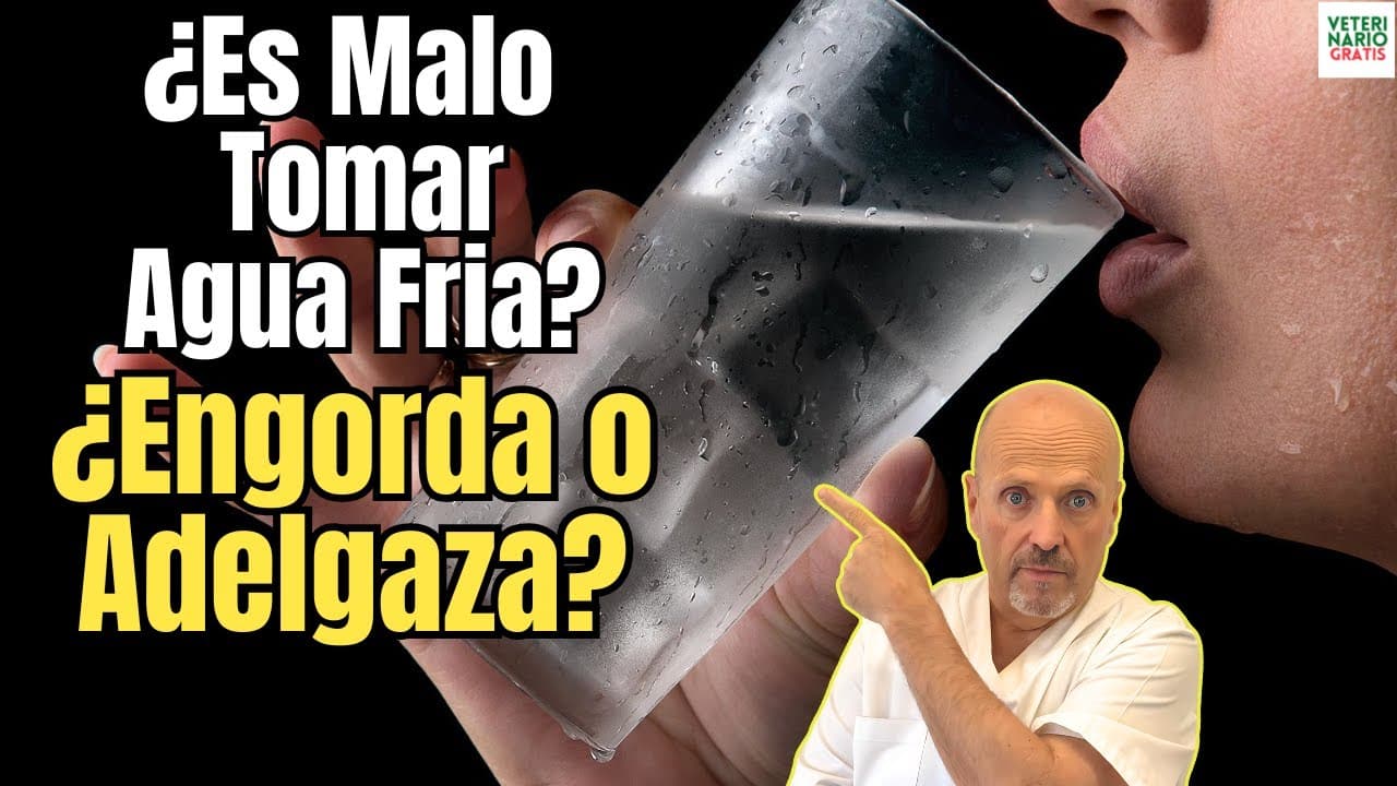 Es malo tomar agua fría engorda o adelgaza y otros bulos del agua muy fría