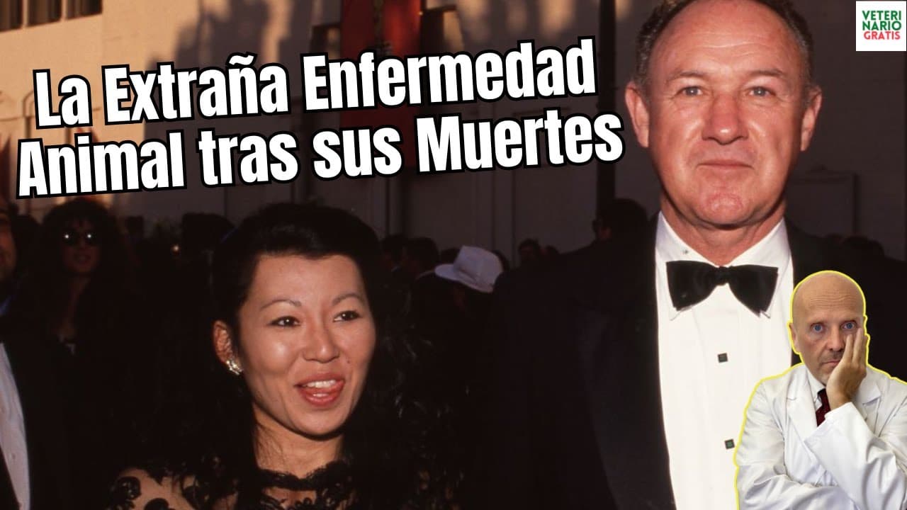 Hantavirus la extrana enfermedad animal tras de la muerte de gene hackman y su esposa