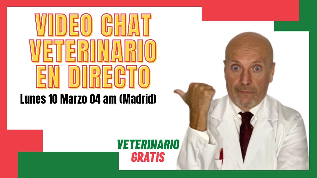 Consultorio veterinario online