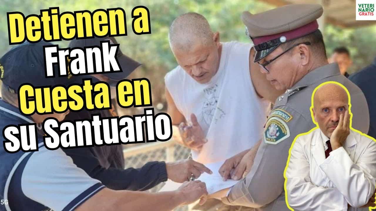 Por que las farmacéuticas presionan al gobierno para hundir a los veterinarios